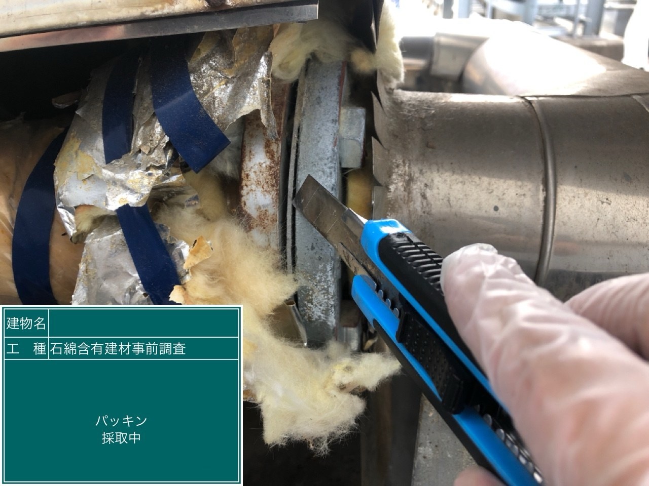 配管フランジ部分のパッキン（採取中）